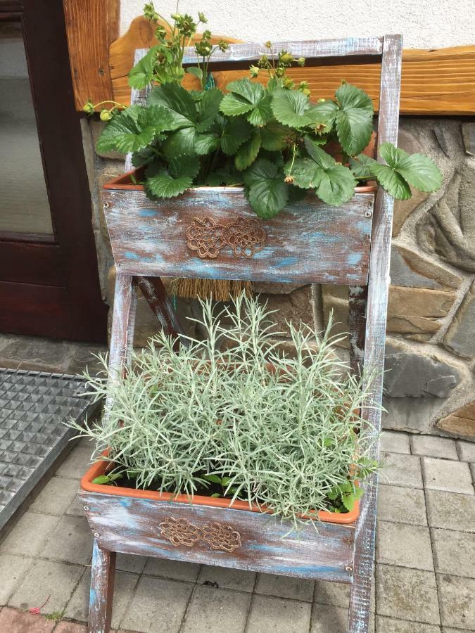 Bialka Tatrzanska罗德兹尼索伊库旅馆住宿加早餐旅馆 外观 照片